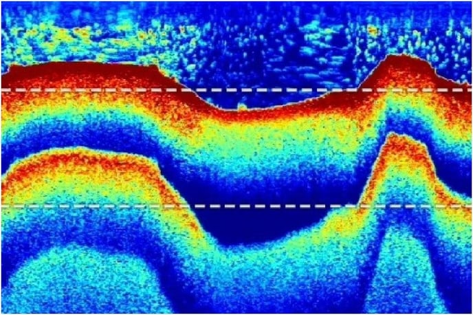 RAYMARINE-ELEMENT-CHIRP-SONAR-PICTURE-1_800x800